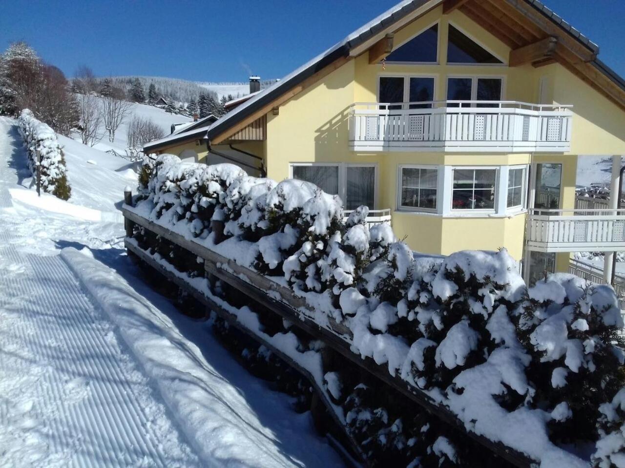 "Schwarzwaldblick" Ferienwohnung 2-4 Pers 65Qm, Schoene Ruhige Suedhanglage Mit Herrl Aussicht 托特瑙 外观 照片