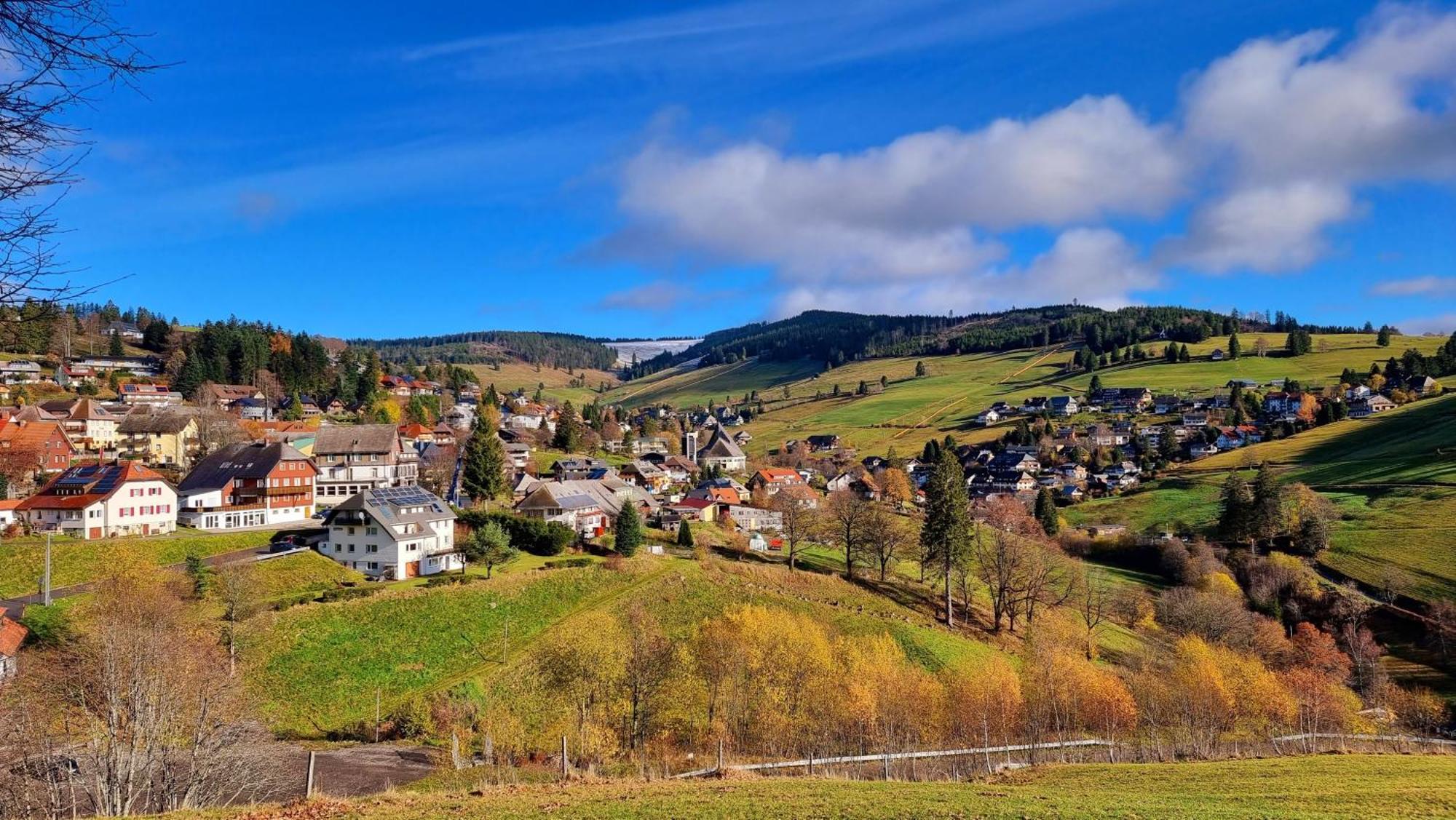 "Schwarzwaldblick" Ferienwohnung 2-4 Pers 65Qm, Schoene Ruhige Suedhanglage Mit Herrl Aussicht 托特瑙 外观 照片