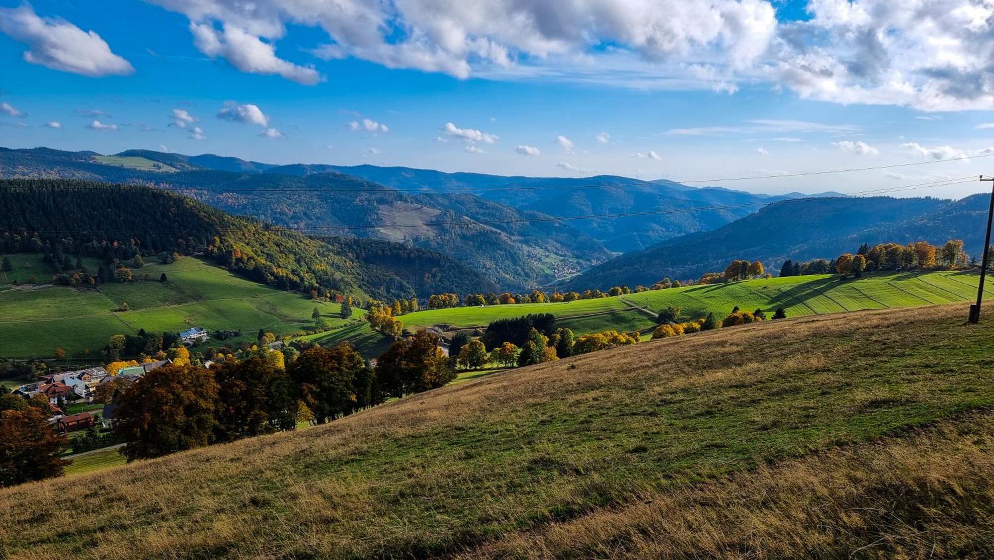 "Schwarzwaldblick" Ferienwohnung 2-4 Pers 65Qm, Schoene Ruhige Suedhanglage Mit Herrl Aussicht 托特瑙 外观 照片